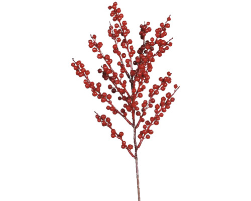 Dekoratívna vetva s červenými bobuľami na dekoráciu