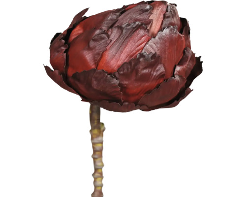 Umelá vetva Artičok ARTICHOKE 30 cm hnedá Dekoratívny umelý artičok na stonke