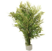 Umelá rastlina v kvetináči