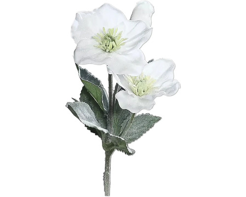 Umelá vetva Čemerica HELEBORUS 34 cm zasnežená biela/zelená Umelá vianočná ruža s bielymi kvetmi a zelenými listami
