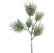 Dekoratívna vetva jedle s ihličím a šiškami