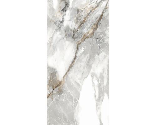 Dlažba Juvel Satuario glos rett 60x120 cm biela Mramorová dlaždica s prírodnou kresbou do interiéru