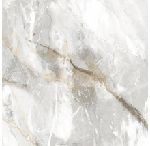 Mramorová dlaždica s prírodnou kresbou