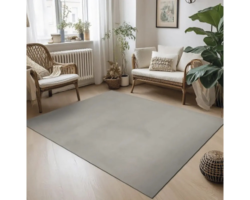 Interiérová scéna so šedým kobercom, ratanovými kreslami a izbovými rastlinami