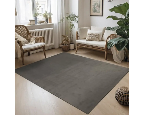 Interiérová scéna so sivým kobercom, prútenými stoličkami, prútenou pohovkou a izbovými rastlinami vo svetlej izbe.