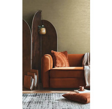 Obývacia izba s hnedou pohovkou, deličom miestnosti, kobercom a dekoráciami pre útulnú atmosféru