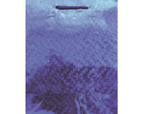 Darčeková taška s rúčkou