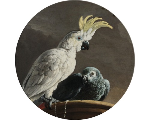 Maľba dvoch papagájov