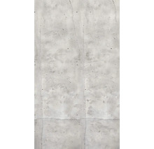 Detail šedej betónovej steny s prasklinami