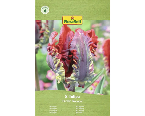 Balenie tulipánov FloraSelf Parrot Rococo s ôsmimi cibuľkami