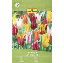 Balenie FloraSelf Tulipány ľaliokveté zmesi
