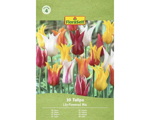 Balenie FloraSelf Tulipány ľaliokveté zmesi