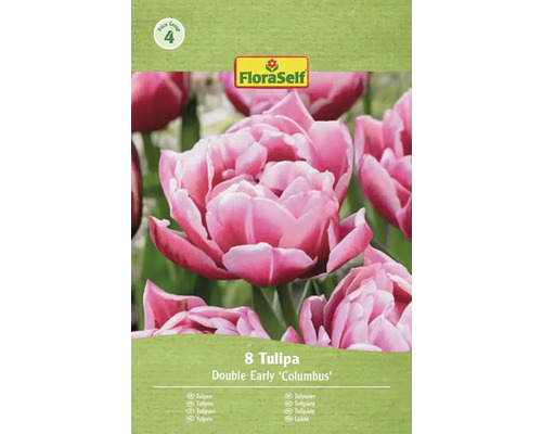 FloraSelf tulipány Double Early Columbus, 8 kusov