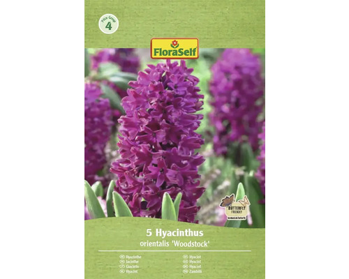 Balenie 5 hyacintov typu 'Woodstock' od značky FloraSelf