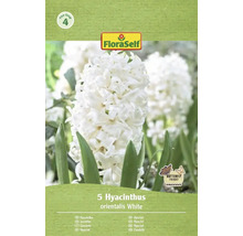 Balenie 5 bielych hyacintov odrody orientalis od spoločnosti FloraSelf
