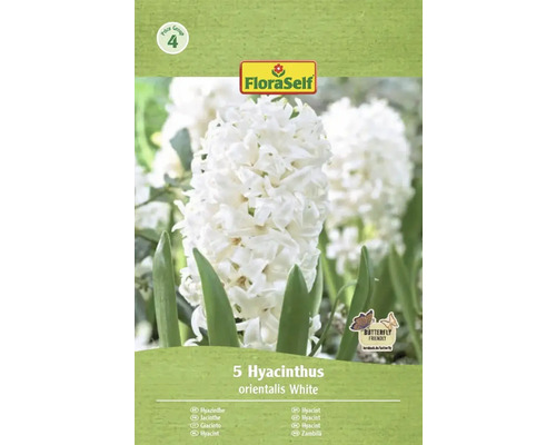Balenie 5 bielych hyacintov odrody orientalis od spoločnosti FloraSelf