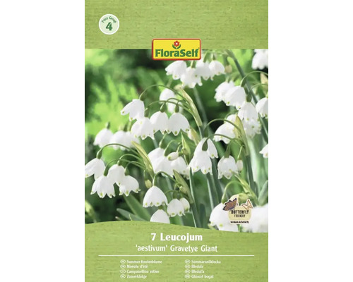 Balenie siedmich bledúľ letných odrody 'aestivum' Gravetye Giant s pečaťou Butterfly Friendly a logom FloraSelf