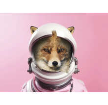 Líška s astronautskou helmou