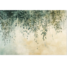 Ilustrácia visiacich konárov s listami