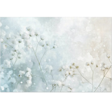 Jemné aranžmán gypsomilky na dekoratívne účely