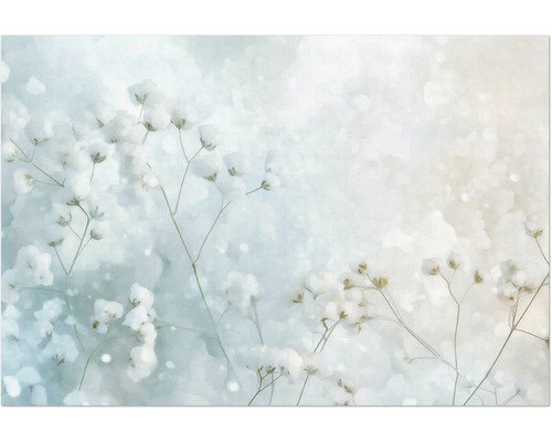 Jemné aranžmán gypsomilky na dekoratívne účely