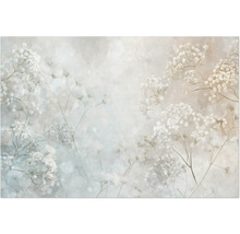 Maľovaná nástenná maľba s motívom sadry