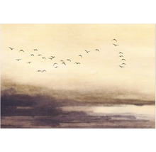 Ilustrácia so kŕdľom vtákov pred zamračenou oblohou