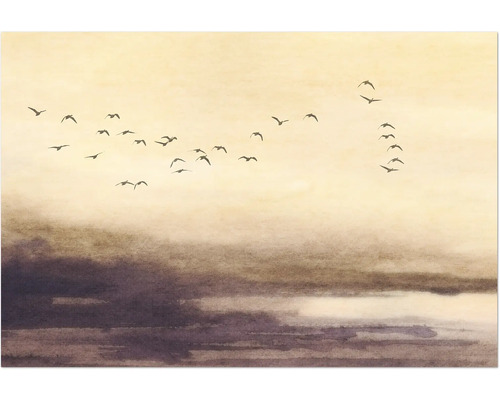 Ilustrácia so kŕdľom vtákov pred zamračenou oblohou