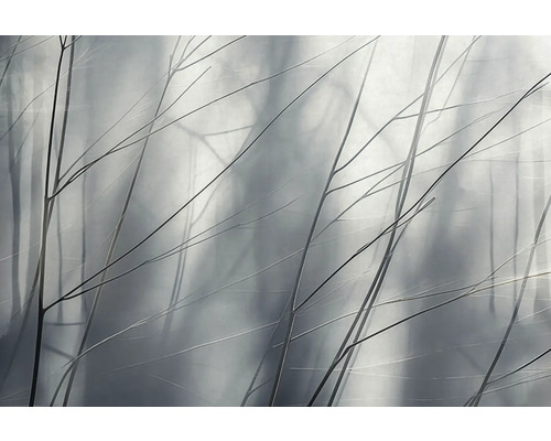 Ozdobné vetvy na rozmazanom pozadí