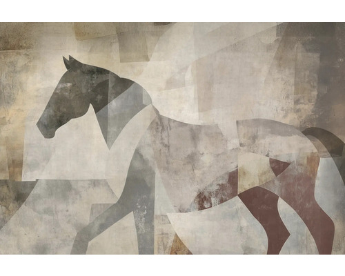 Abstraktný obraz koňa na stenu pre interiérový dizajn