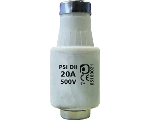Poistka DII 20 ampérov 500 voltov