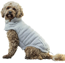 Pes s oblečením pre psov