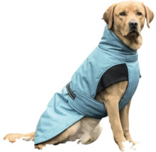 Sediaci labrador s psou bundou