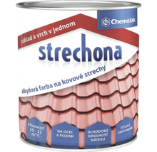 Farba na kovové strechy v plechovke