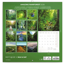 Kalendár Amazing Rainforest pre rok 2026, 16-mesačný kalendár