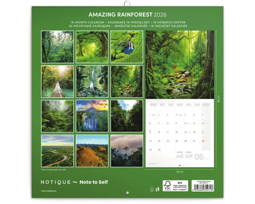 Kalendár Amazing Rainforest pre rok 2026, 16-mesačný kalendár