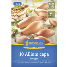 Kiepenkerl Longor šalotka na sadenie, 10 kusov
