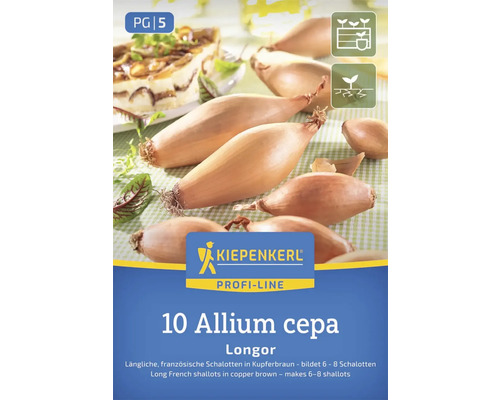 Cibuľoviny Kiepenkerl Aroma Shallot 'Longor' 10 kusov Kiepenkerl Longor šalotka na sadenie, 10 kusov