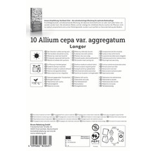 Balenie 10 cibúľ Allium cepa var. aggregatum Longor s informáciami o umiestnení, výsadbe a vlastnostiach