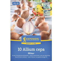 Kiepenkerl Profi-Line 10 Allium cepa Mikor Sada šalotiek