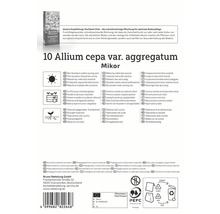 Informácie o Allium cepa var. aggregatum Mikor, vrátane umiestnenia, výsadby, tolerancie voči suchu a množenia