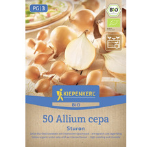 Balíček bio semien Kiepenkerl s 50 žltými cibuľami Allium cepa Sturon