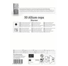 Balenie 50 ks cibule Allium cepa Sturon, vhodné pre slnečné miesta a vyvýšené záhony