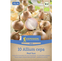 Kiepenkerl Logo Bio šalotka Red Sun balenie s bio pečaťou