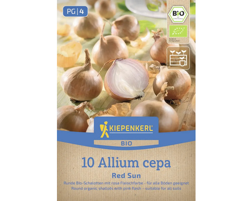 Cibuľoviny Kiepenkerl bio šalotka 'Red Sun' 10 kusov Kiepenkerl Logo Bio šalotka Red Sun balenie s bio pečaťou