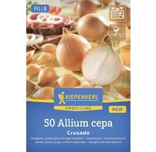 Kiepenkerl Profi-Line Allium cepa Crusado cibuľa sadzačka, 50 kusov