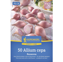 Allium cepa Rosanna sadzačka cibule, 50 kusov, vhodná pre všetky pôdy