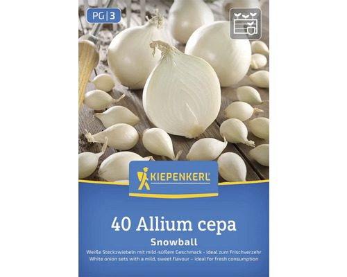 Sadenice cibule Kiepenkerl Snowball, 40 kusov, Allium cepa
