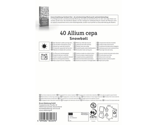 Informácie o Allium cepa Snowball, vrátane požiadaviek na umiestnenie a pokynov na výsadbu