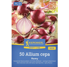 50 červených cibúľ odrody Allium cepa Romy